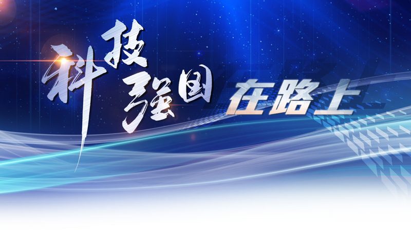 构建高效机器学习平台：架构优劣解析