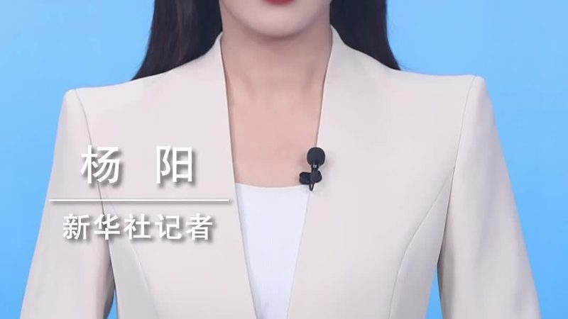 容器编排网络配置安装步骤详解**